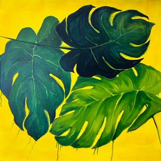 Monstera geel | olieverf op canvas | 60x60cm
